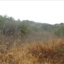 춘천지방법원 영월지원 이미지