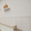 공덕링키영어교습소