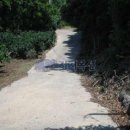 상예동-7 이미지