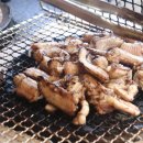 바다산꼼장어 이미지