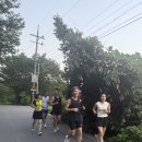 새는 날고 물고기는 헤엄치고 인간은 달린다. 이미지