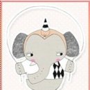목화솜(MokHwasom)