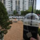 창성(애견) | 8월 일기