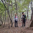 [국도29] 서산시 일람리 이미지