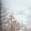 러브레터 이미지