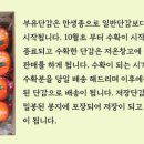 부유마트 이미지