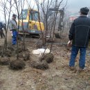 순양농장 이미지