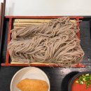 11500-10-02-10 | 영등포 타임스퀘어 맛집 :: 겐로쿠우동 풀토핑우동, 지도리우동, 자루소바 솔직후기 [내돈내산]
