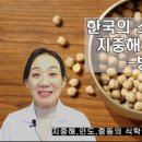 지중해푸드 이미지