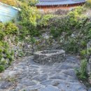 은혜의 뜨락 이미지