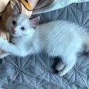 우산아파트 이미지