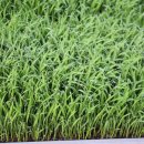 삼덕농장 이미지