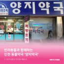 양지약국 이미지