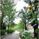 너른마당 - 해남군 동해길 106-41 | 너른마당