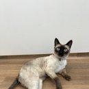 유온민박 이미지