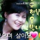 내인생의잔고/금사랑 이미지