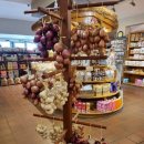 탑농장 | [방문후기] 엑시터 근교 탑샴(Topsham) 다트농장(Dartsfarm)