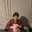 경북 애견동반 캠핑장 추천 차박