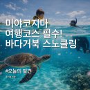 주식회사바다 | 미야코지마 여행코스 필수! 바다거북 스노클링 솔직 후기 (비용, 날씨 팁)