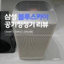 블루스카이 | 미세먼지에서 살아남기 - 삼성 블루스카이 5500, 3100 내돈내산 후기