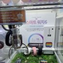 짱게임장 네이버블로그