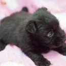 몽글몽글 이미지