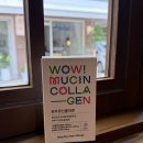 지리산건강마을 | [선물하기 좋은 콜라겐 젤리] 지리산을팜 쿱마을 와우 뮤신 콜라겐 후기