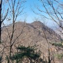 선산수산 Daum카페