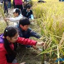 상맹방(상맹방1리) 이미지