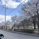 청학골숯불갈비 이미지