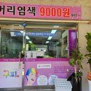 구피샾