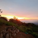 동트는농원 이미지