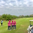 오늘도 골프 이미지