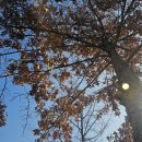 김유정역 | (춘천) 김유정역 레일바이크 후기-주차·코스·요금까지, 겨울 평일 11시 꿀팁