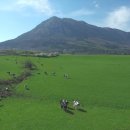 인생한의원 이미지