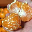 옥심농장 이미지