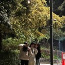 광교호수공원 가족캠핑장 이미지