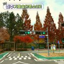 진주시어린이교통공원 청소년모험공원 | "너무 예쁜데 한적한" 진주 가을 숨은 명소 3곳