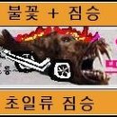호성투어