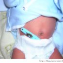 배꼽누리 이미지