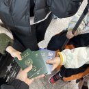 칸토천안 | 도쿄 가족여행 5박6일 일정 총정리 (아이와 함께 + 포켓몬파크 칸토 포함)