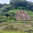 에코랜드수영장 축구장 이미지