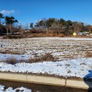 서산부동산 서산토지 서산시 대산읍 자연녹지지역 남향 임야 (3372m2) 이미지