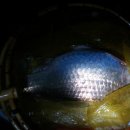 민들레장 이미지