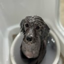 또또살롱 이미지