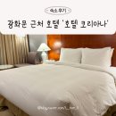 코리아나 | KMI 광화문 근처 호텔 코리아나 후기 가성비 숙소 추천