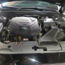 SHARK MOTOR OIL 이미지