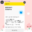 달막공방달막꽃집 | 웨딩 스튜디오 촬영 달막꽃집 백조호접 생화부케 후기 (ft. 이포토에세이)