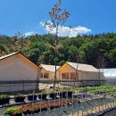 고성 탑 글램핑 농원 이미지