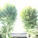 경성종합환경 이미지